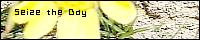�wSeize the Day�x�փ_�C�u�I�I�I